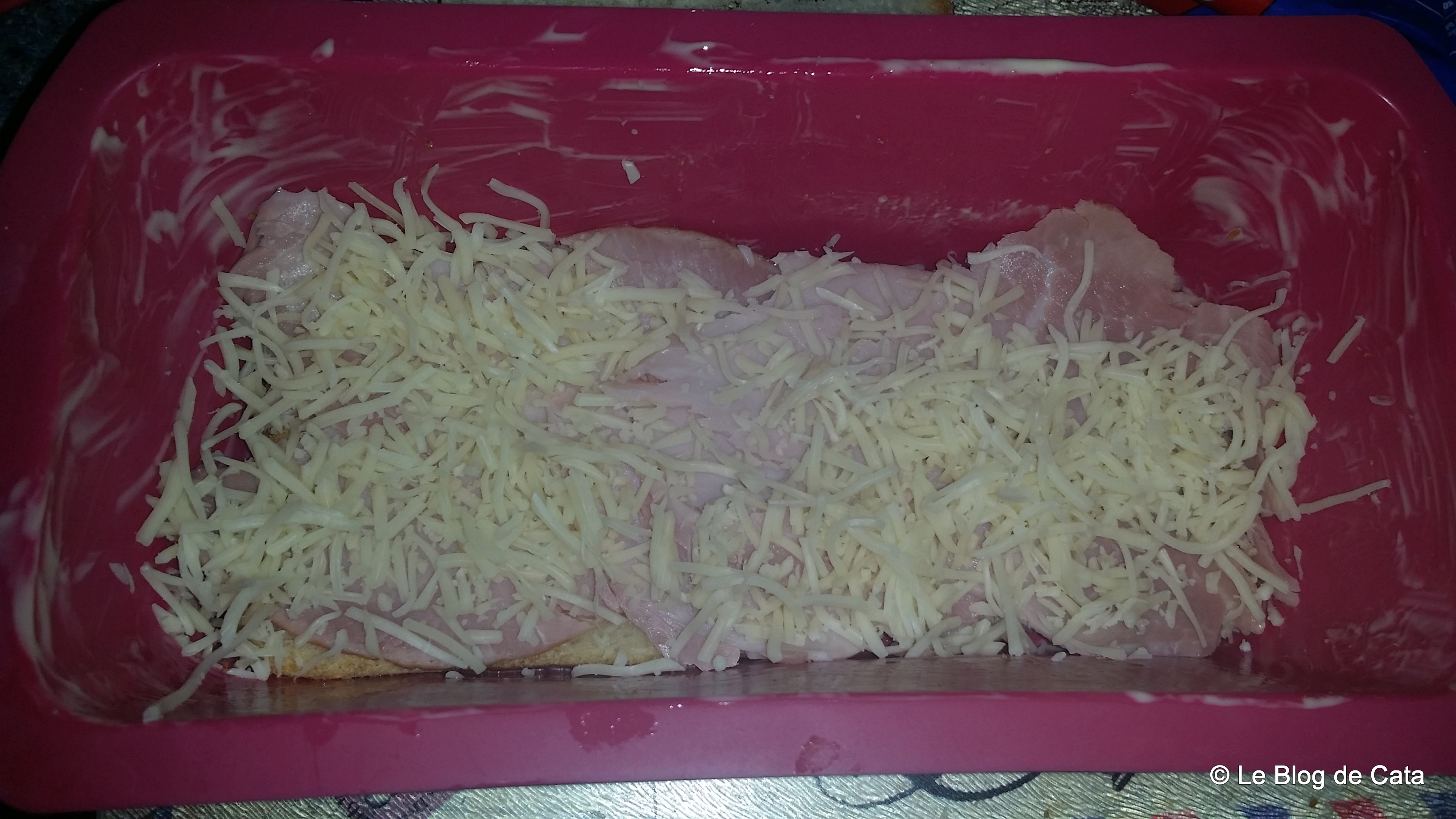 Aperitiv chec sandwich croque monsieur