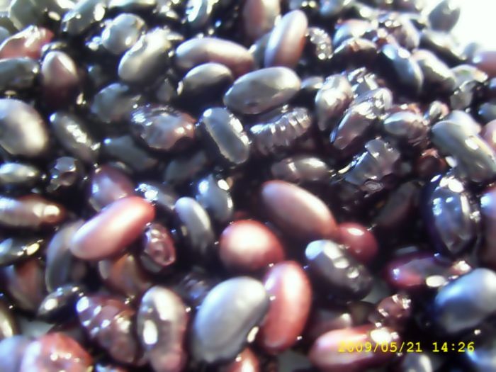 Salata de fasole neagra