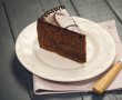 Desert Tort Sacher-2