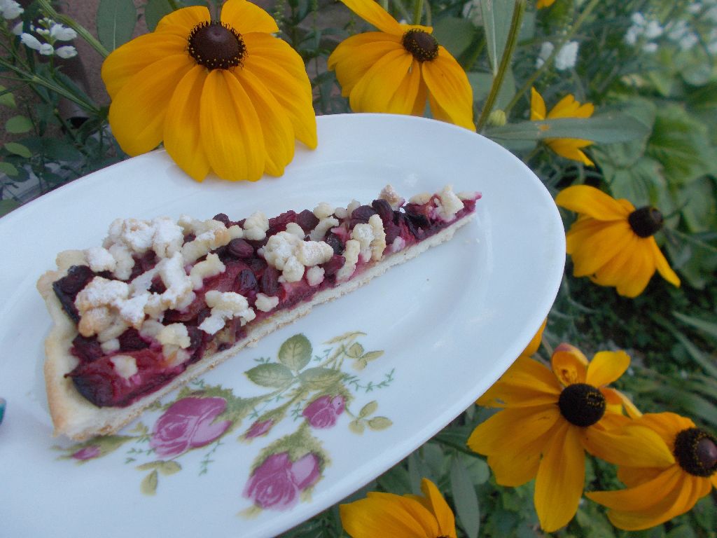 Desert tarta frageda cu prune si rodie