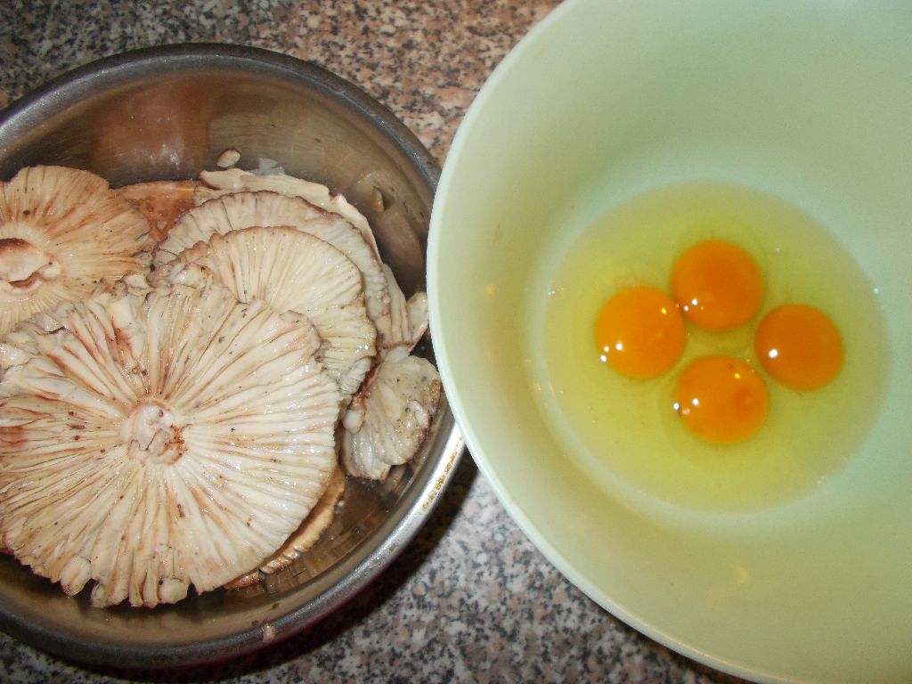 Champignon de padure pane