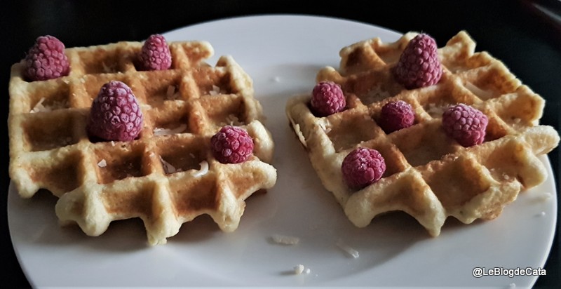 Desert waffle cu zmeura si cocos (fara faina)