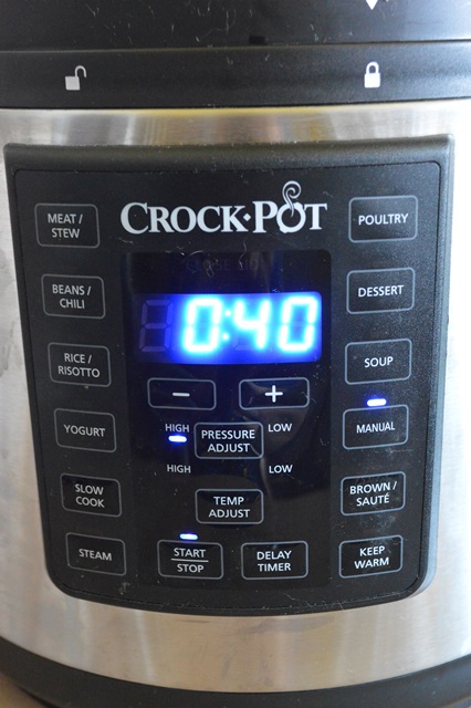 Tort de ciocolata la Multicookerul Crock-Pot Express cu gatire sub presiune