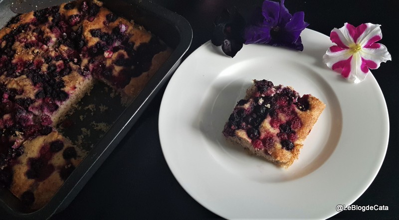 Desert tarta cu fructe de padure (fara gluten si low-carb)