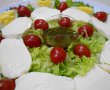 Salata Mozzarella-7