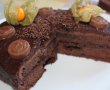 Desert tort Sacher-21