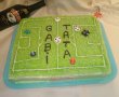 Desert tort teren de fotbal 2-10