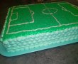 Desert tort teren de fotbal-2