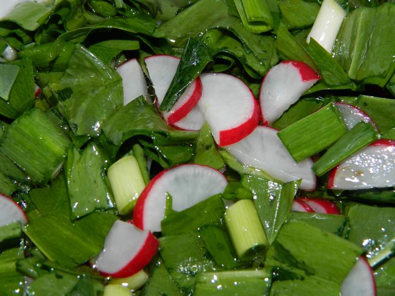 Salata de leurda