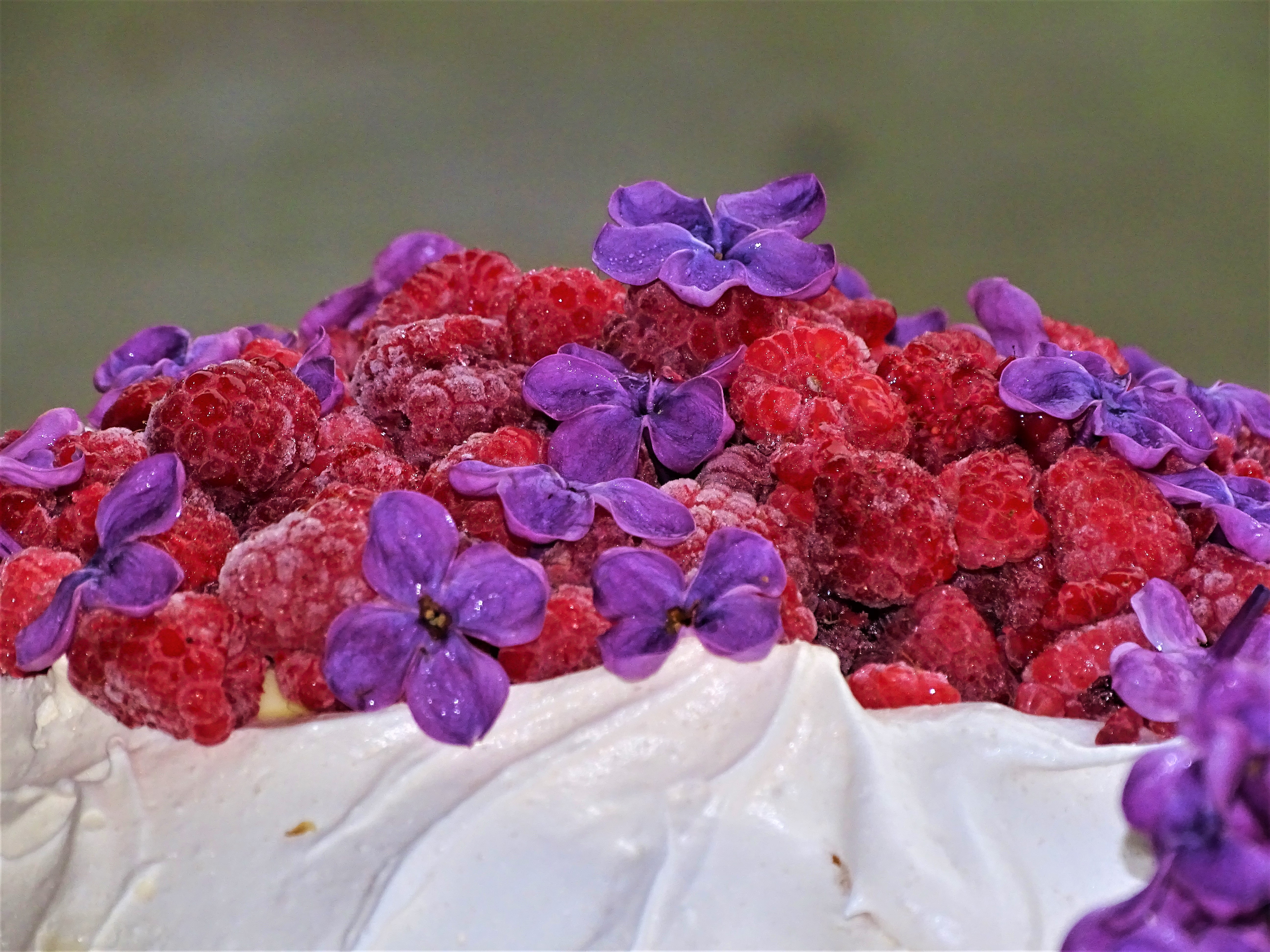 Desert Pavlova (dansand in ploaie)