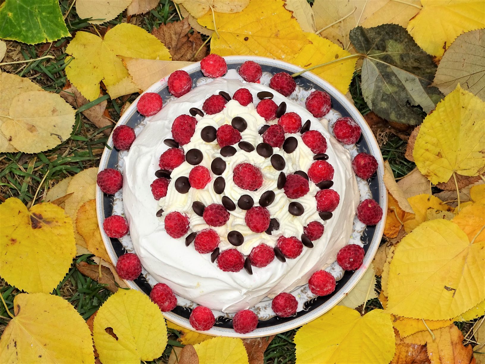 Desert Pavlova, cu rochie de vara intr-o toamna