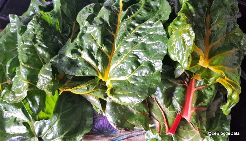 Placinta cu carne si frunze de mangold (swiss chard)