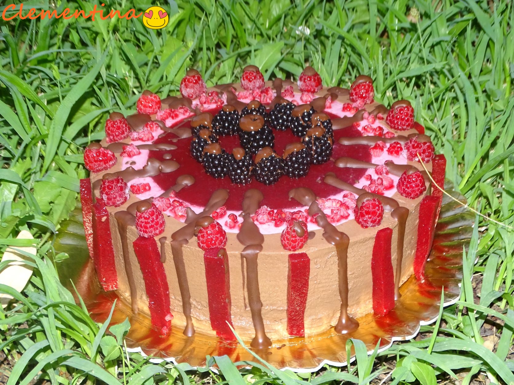 Desert tort Maria