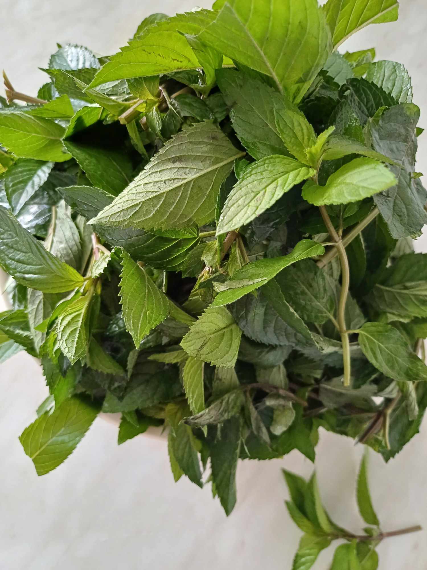 Reteta de dulceata de menta