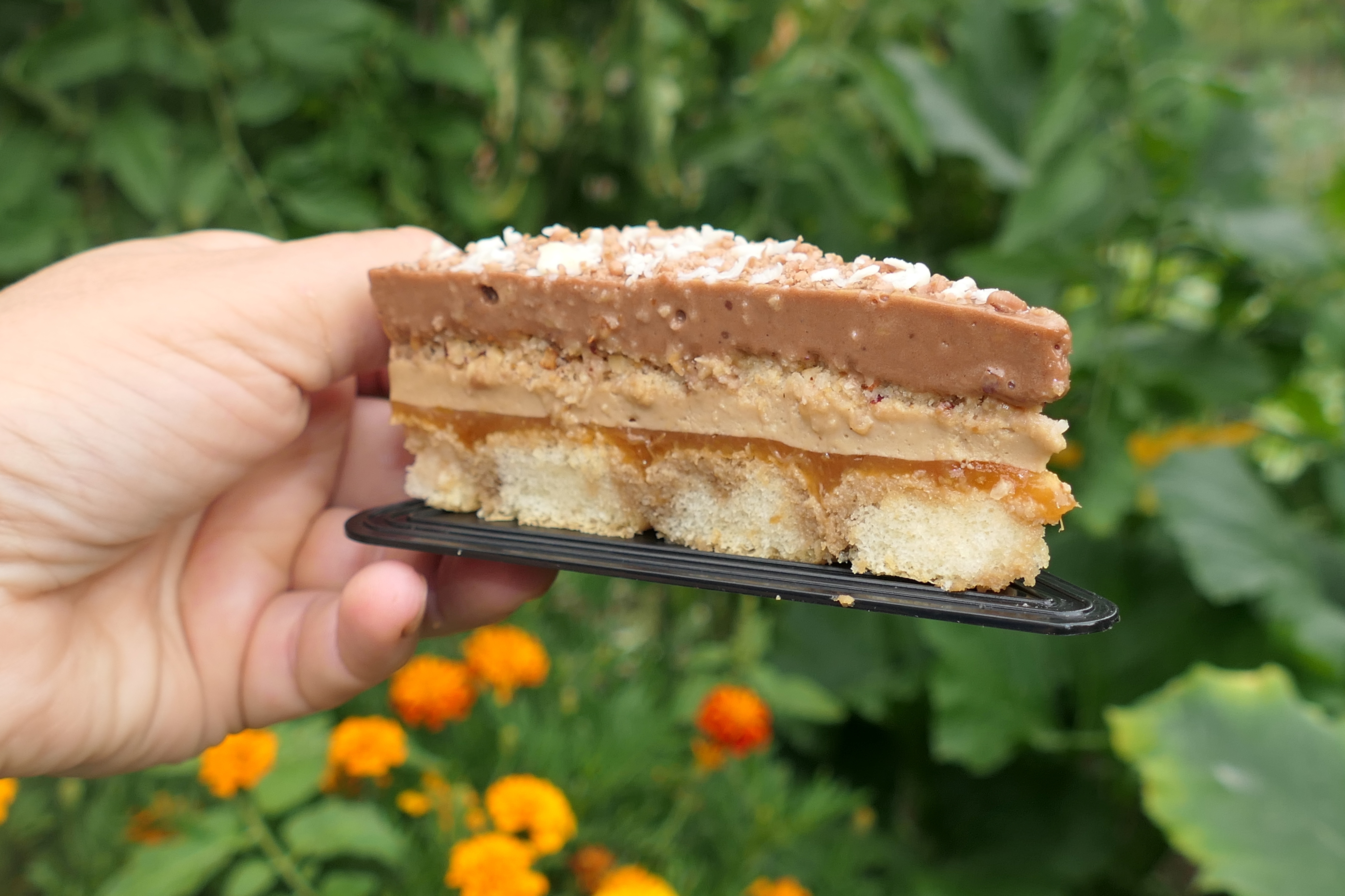 Prajitura cu ness si jeleu de caise - Reteta aromata si delicioasa