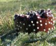 Tort ''noi doi si 32 de ani'' - Desertul aniversar plin de savoare-24